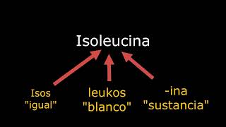 ¿Qué es la Isoleucina  El ABC de la Biología [upl. by Erodroeht]