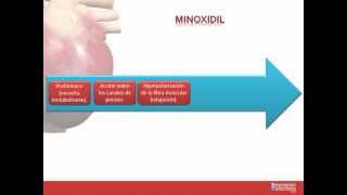 Tema 26 FARMACOLOGÍA CARDIOVASCULAR Fármacos indicados para la Hipertensión Arterial [upl. by Norvan406]