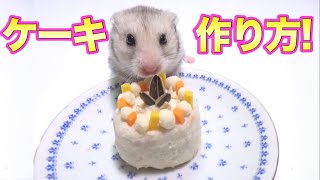 ハムスター専用ケーキ！！！作り方！ [upl. by Allemac]