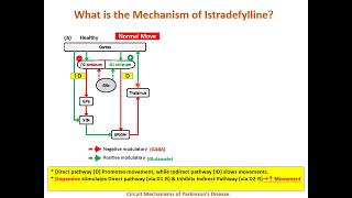 Pathophysiology of Parkinsons disease [upl. by Madaih571]