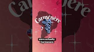 Carmenère Explained 🍷🇨🇱 ✅ [upl. by Ibson756]