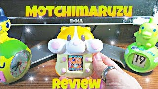 Motchimaruzu Squishy Hamster Pet Review [upl. by Tecla]