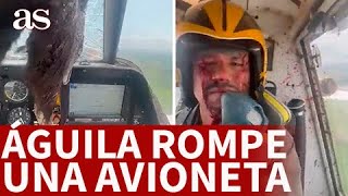 ACCIDENTE AVIÓN se ESTRELLA PÁJARO GIGANTE con un AVIÓN Aterrizaje salió bien  AS [upl. by Keven]