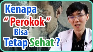 Kenapa Perokok Bisa Tetap Sehat [upl. by Kennard646]