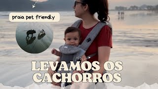 DESCOBRIMOS UMA PRAIA PET FRIENDLY EM SÃO PAULO BERTIOGA VLOG [upl. by Luar]