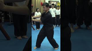 Wing Chun Biu Gee form in Hong Kong Part Two [upl. by Juliana]