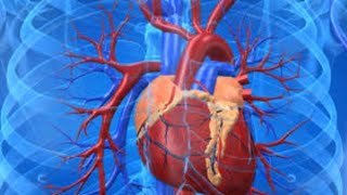 Research Documentary on Heart Diseases [upl. by Merci]