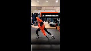 Mobilizing the Spine and Strengthening the End Ranges of the Hips [upl. by Leivad]