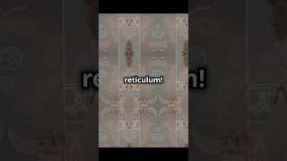 The Endiplasmic Reticulum RER vs SER Explained 🌟 [upl. by Atworth503]