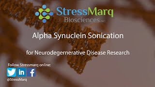 Video Why is Sonication of Alpha Synuclein Preformed Fibrils Important [upl. by Reiko]