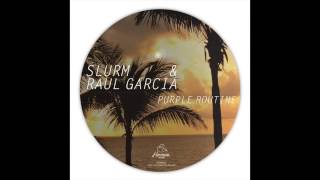 Raul Garcia Slurm  Purple Routine Hermine Records 035 [upl. by Milly380]