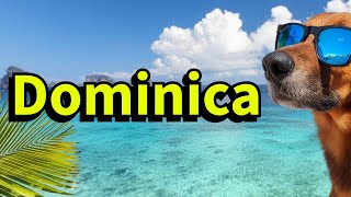 Discover Dominica [upl. by Neyuh]