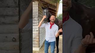 Erkennt ihr alle aus dem Video 🤠🐴 horse pferd pferde pferdecamp shorts equestrian [upl. by Muhcon]