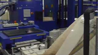 RIMASYSTEM Conveying log stacking amp palletizing remote maintenance for coldset book press [upl. by Marie-Jeanne]