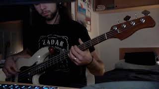 Belinda Carlisle  We Want The Same Thing BASS COVER [upl. by Etnoved213]