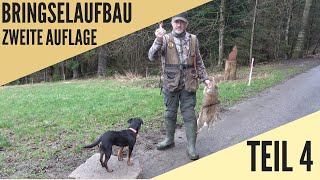 Dem Hund einfach und sicher das Bringselverweisen beibringen  Hundeschule UB [upl. by Apilef]