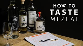 Tasting Mezcal Like a Pro [upl. by Aicemaj]