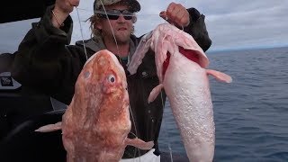 offshore fishing Hokitika Trench South Island New Zealand with Josh James and friends [upl. by Godewyn]