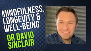 Dr David Sinclair on Mindfulness Longevity and WellBeing [upl. by Pascasia]