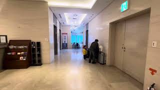 Migliore Hotel Seoul Myeongdong [upl. by Krusche]