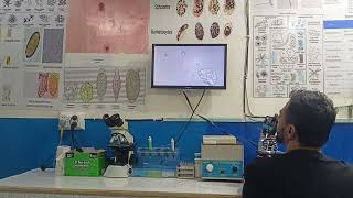 Microscopic examination of samples on Advanced Microscopy by Dr Muhammad UMER PhD Microbiology [upl. by Albright]