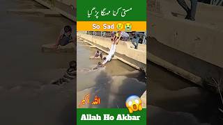 Allah hu akber allah pak ny bacha leya shorts 😱😱😱😱shortvideo [upl. by Onez993]