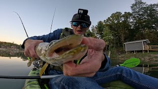 ChatterBaits and Spinnerbaits STILL Work In The Fall Wisconsin Kayak Fishing [upl. by Sandstrom]