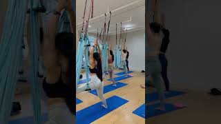 Best Aerial Yoga Stretch 🔥 aerialyoga aerialyogaflow aerialyogaclass swingyoga yogaflow [upl. by Gaskin412]