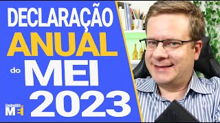 💰 DECLARAÇÃO ANUAL DO MEI  PASSO A PASSO FÁCIL [upl. by Eisinger]