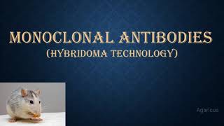 MONOCLONAL ANTIBODIES  MONOCLONAL ANTIBODY PRODUCTION USING HYBRIDOMA TECHNOLOGY [upl. by Atsyrt]