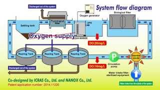 A closed recirculating aquaculture system CRAS using oxygenated ultra fine bubbles [upl. by Savage]