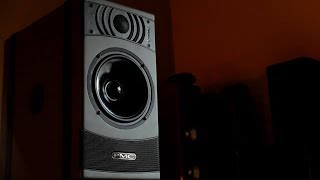 Review The PMC Result 6 ACTIVE Bookshelf Loudspeaker [upl. by Laktasic]