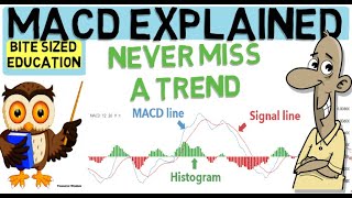 MACD INDICATOR EXPLAINED Trade with the trend [upl. by Aveline]