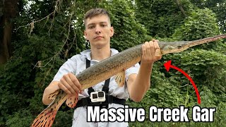 Crazy Unexpected Catch While Creek Fishing [upl. by Lucky]