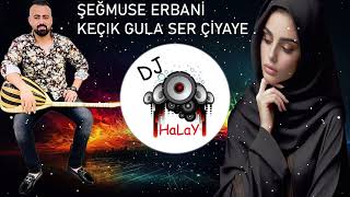 Dj Halay Remix  Şeğmuse Erbani  Keçık Gula Ser Çiyaye  Grani Remix Halay [upl. by Ern104]