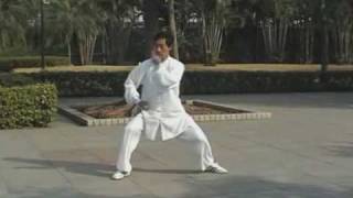 Chen Style Tai Chi form  83 movement Yi Lu [upl. by Aisilef]