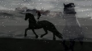 Star Stable Online  New Friesian Horse [upl. by Davilman]