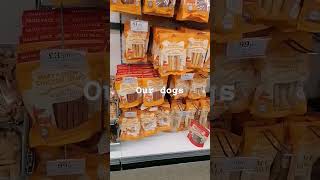 Dog treats in Home Bargains youtubeshorts dog dogtreats [upl. by Any]