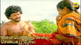 சின்ன பொண்ணு சேலை செண்பக பூ போல  Ilayaraja  S Janaki Superhit Song  Vairamuthu [upl. by Elwaine833]