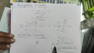 Benzoylation of Amine [upl. by Ethelbert545]