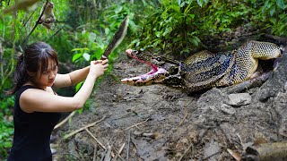 Fullvideo Build Shelter Confront Wild Animals and Dangers 7 Days Bushcraft amp Survival [upl. by Anayk]