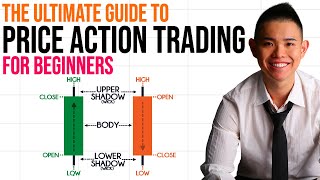 The Ultimate Guide To Price Action Trading For Beginners amp Advanced Traders [upl. by Ahsirtal234]