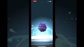 Evolve my nundo Koffing into Galarian Weezing in pokemongo [upl. by Reisinger]