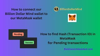 Connect Metamask to Billion Dollar Mind and make a deposit  How to find HASH on MetaMask [upl. by Aizitel]