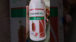 syngent Calaris Xtra best herbicide for maizytshorts [upl. by Fleurette893]