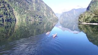 Doubtful Sound Kayak [upl. by Sane749]