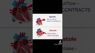 Systole and Diastole difference between systole and diastole heart blood science humananatomy [upl. by Nileak]