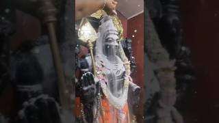 Murugan Songs in Tamil  முருகன் பக்தி பாடல்கள்  Murugan Whatsapp Status Tamil  Kandhan Devotees [upl. by Anauqes777]