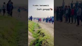 jhota gangaji horse jhotalover trending farming youtubeshorts song [upl. by Arda703]