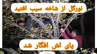 شیرین شهزاده را زرترق کرد 🤣 [upl. by Lexie]